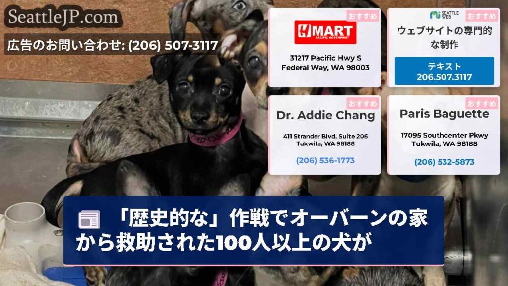 「歴史的な」作戦でオーバーンの家から救助された100人以上の犬が