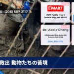 救出 動物たちの苦境