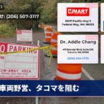 車両野営、タコマを阻む