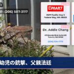 幼児の銃撃、父親法廷