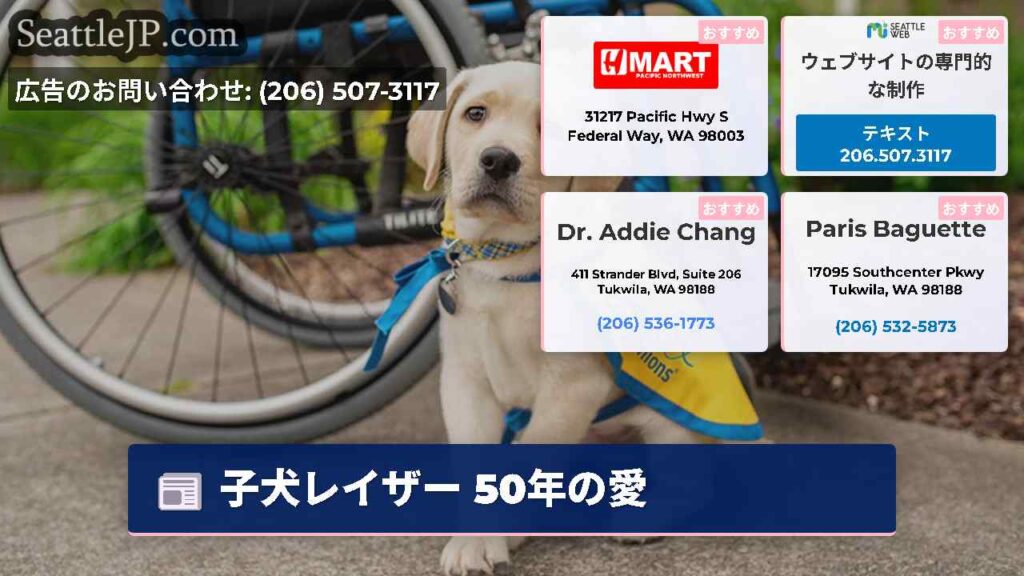 子犬レイザー 50年の愛