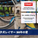 子犬レイザー 50年の愛