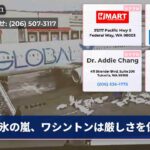 氷の嵐、ワシントンは厳しさを保つ