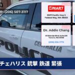 チェハリス 銃撃 鉄道 緊張