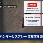ハンマーとスプレー 宝石店を襲撃