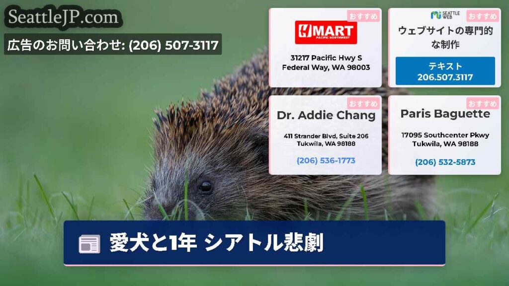 愛犬と1年 シアトル悲劇