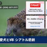 愛犬と1年 シアトル悲劇