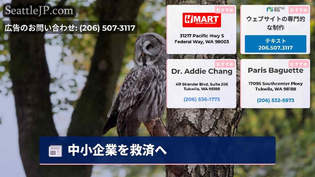 中小企業を救済へ