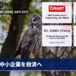 中小企業を救済へ