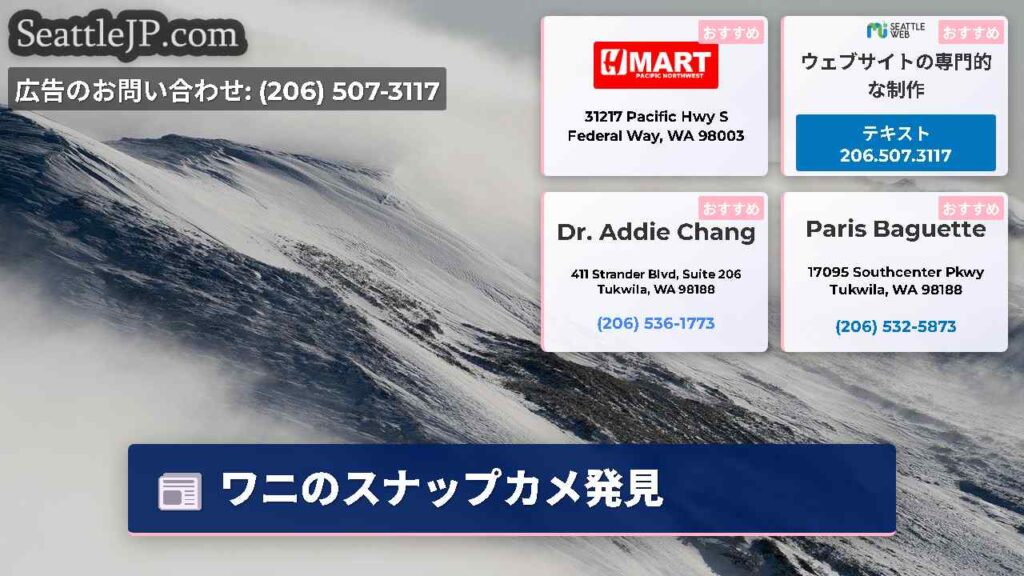 ワニのスナップカメ発見