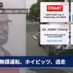 無謀運転、ホイピッツ、逃走