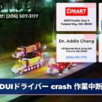 DUIドライバー crash 作業中断