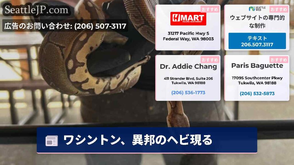 ワシントン、異邦のヘビ現る