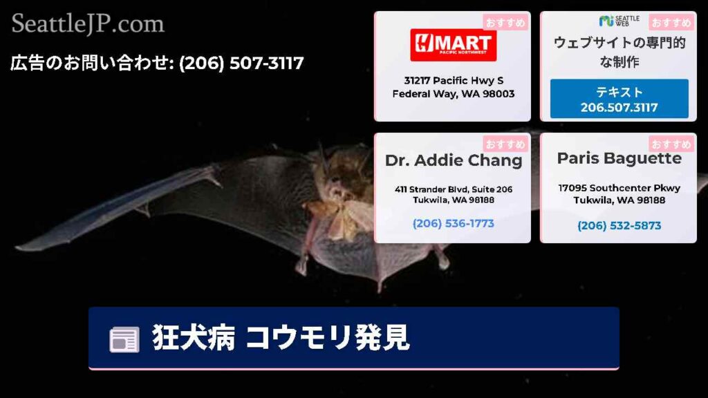 狂犬病 コウモリ発見