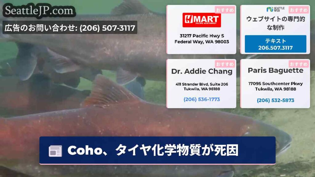 Coho、タイヤ化学物質が死因