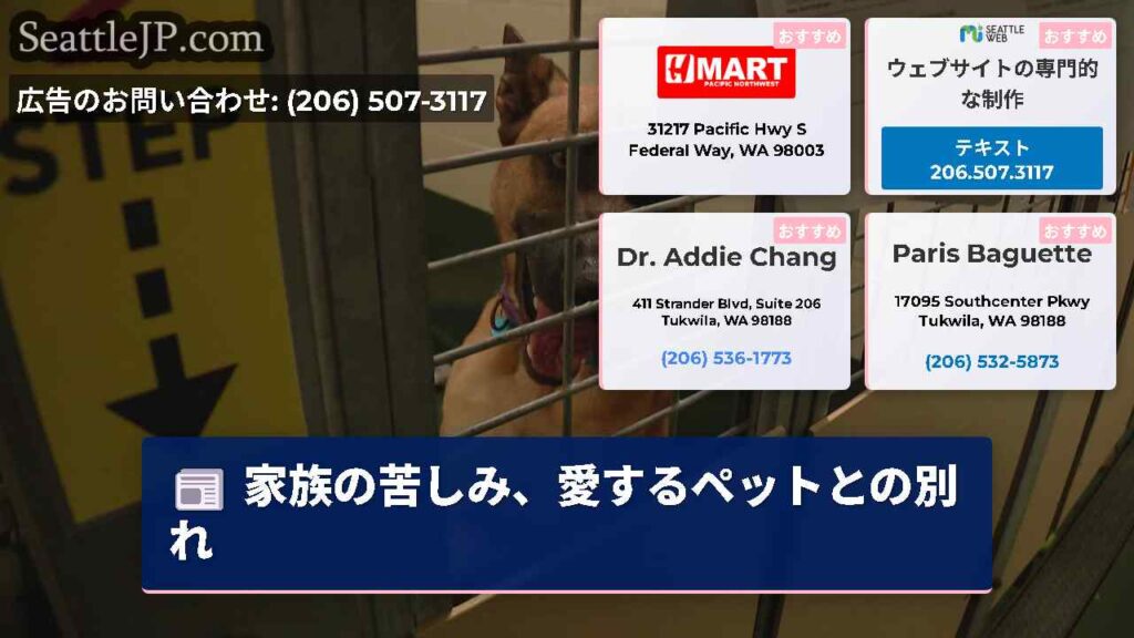 家族の苦しみ、愛するペットとの別れ