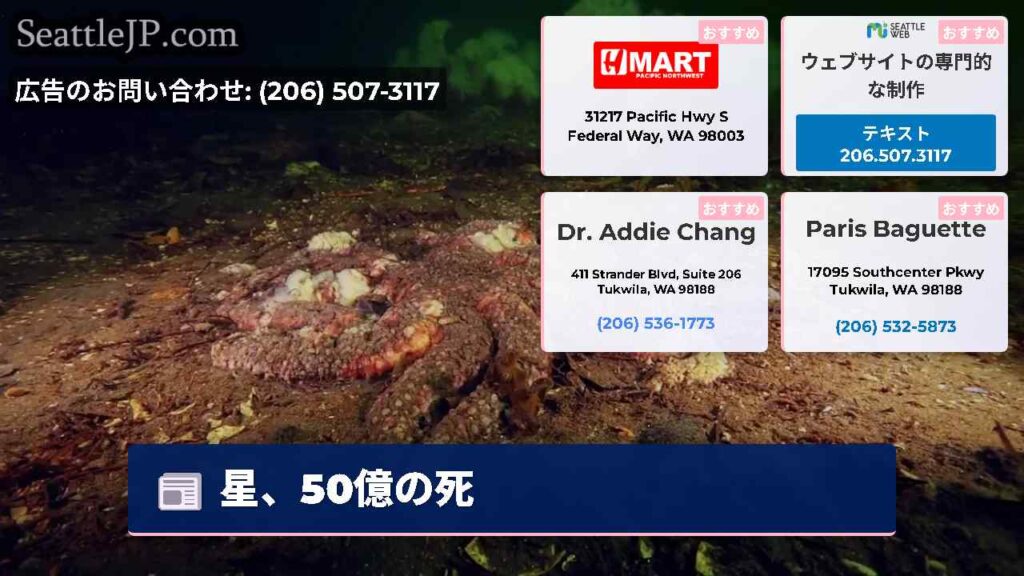 星、50億の死