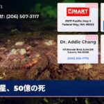 星、50億の死