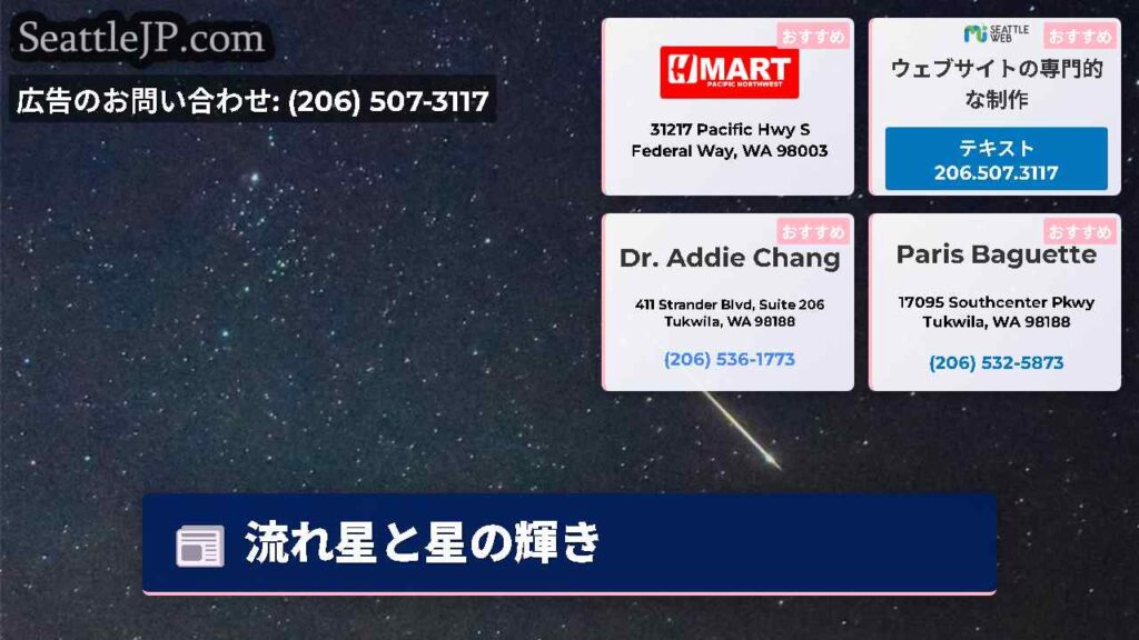 流れ星と星の輝き