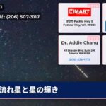 流れ星と星の輝き