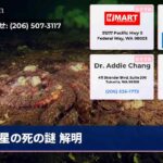 星の死の謎 解明
