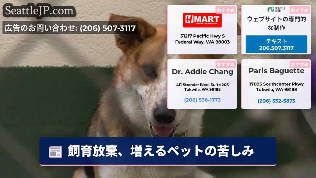 飼育放棄、増えるペットの苦しみ