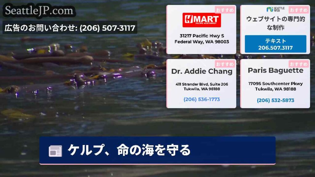 ケルプ、命の海を守る