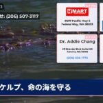ケルプ、命の海を守る