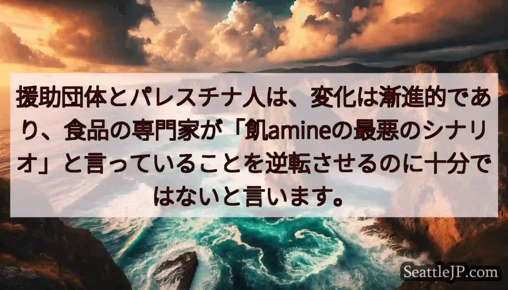 援助団体とパレスチナ人は、変化は漸進的であり、食品の専門家が「飢amineの最悪のシナリオ」と言って