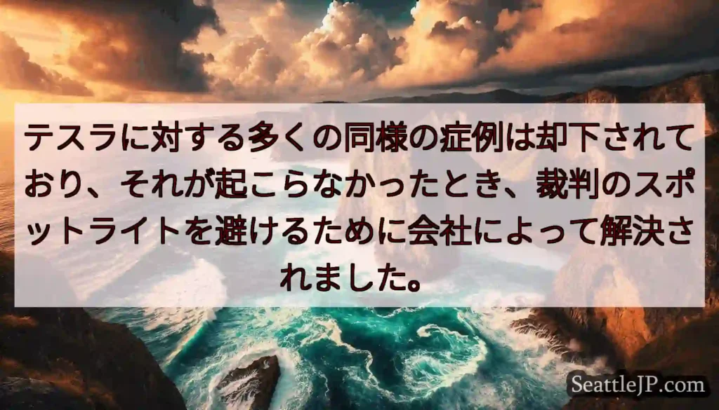 テスラに対する多くの同様の症例は却下されており、それが起こらなかったとき、裁判のスポットライトを避け