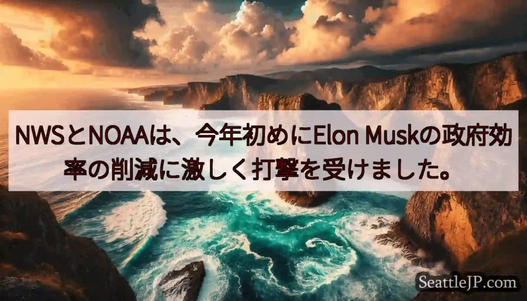 NWSとNOAAは、今年初めにElon Muskの政府効率の削減に激しく打撃を受けました。