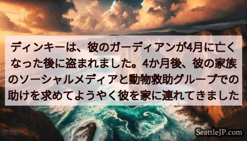 ディンキーは、彼のガーディアンが4月に亡くなった後に盗まれました。4か月後、彼の家族のソーシャルメデ
