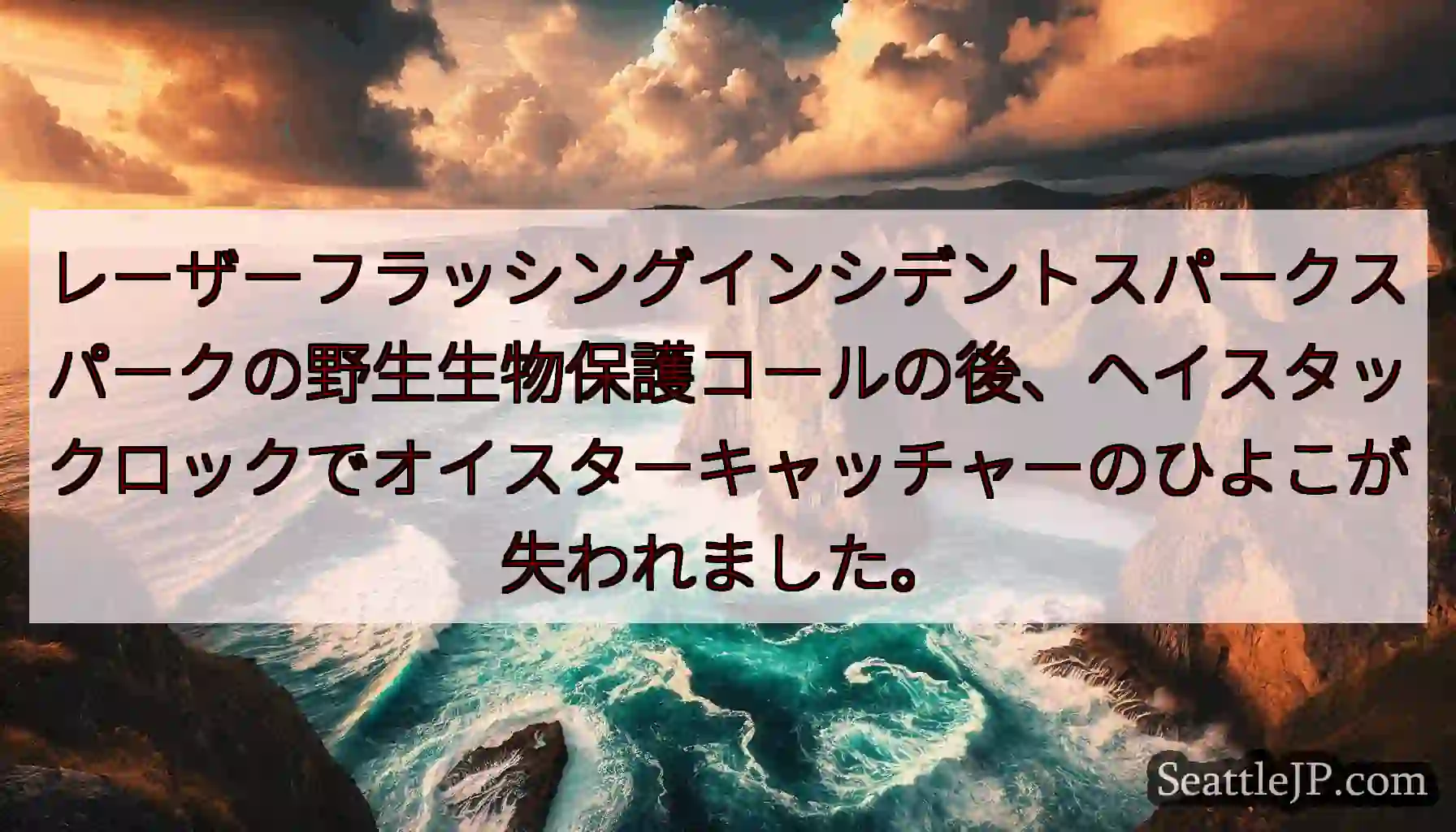 レーザーフラッシングインシデントスパークスパークの野生生物保護コールの後、ヘイスタックロックでオイス