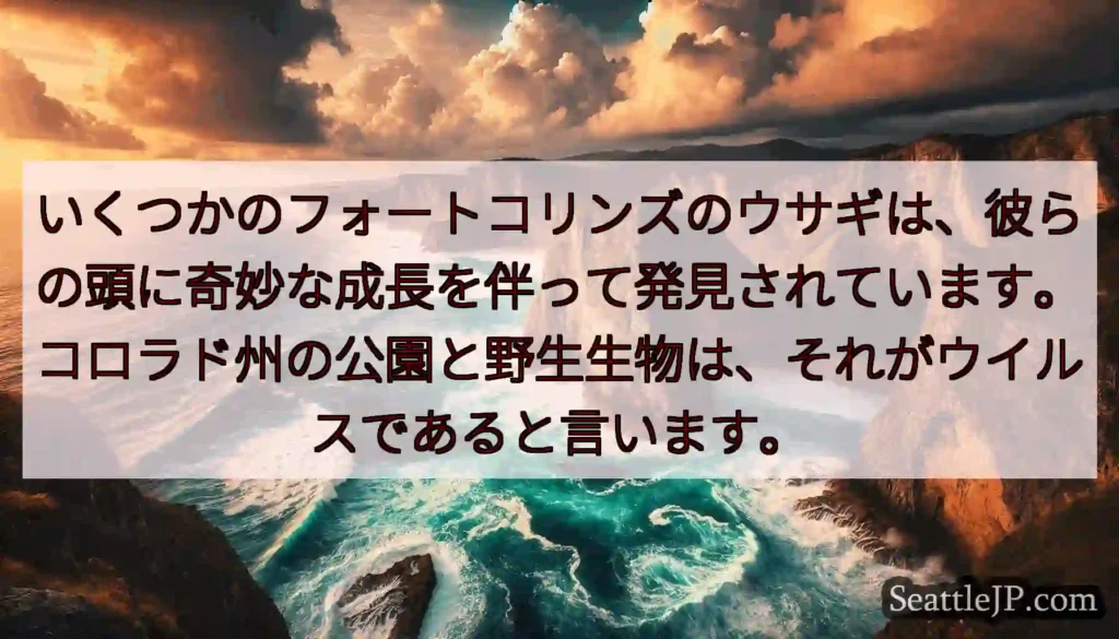 いくつかのフォートコリンズのウサギは、彼らの頭に奇妙な成長を伴って発見されています。コロラド州の公園