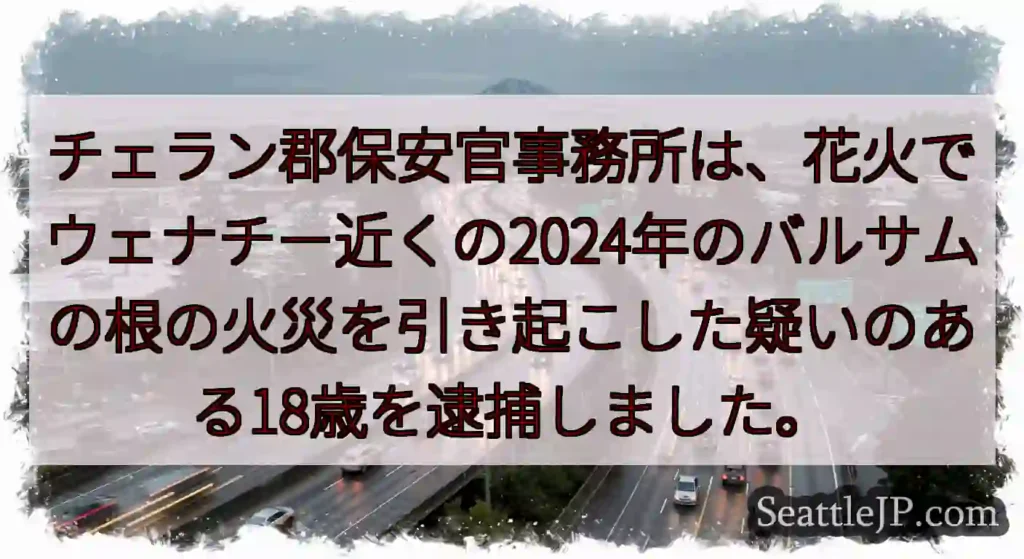 チェラン郡保安官事務所は、花火でウェナチー近くの2024年のバルサムの根の火災を引き起こした疑いのあ