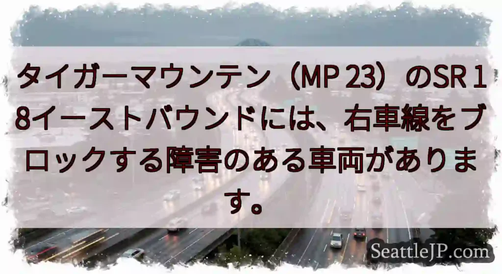 タイガーマウンテン（MP 23）のSR