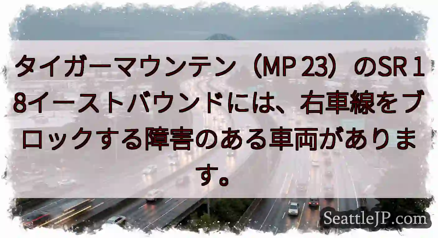 タイガーマウンテン（MP 23）のSR