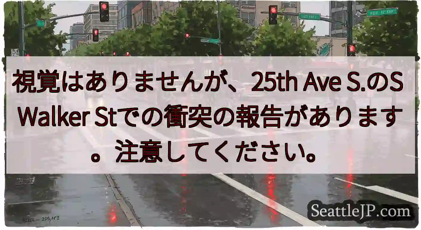 視覚はありませんが、25th Ave S.のS Walker