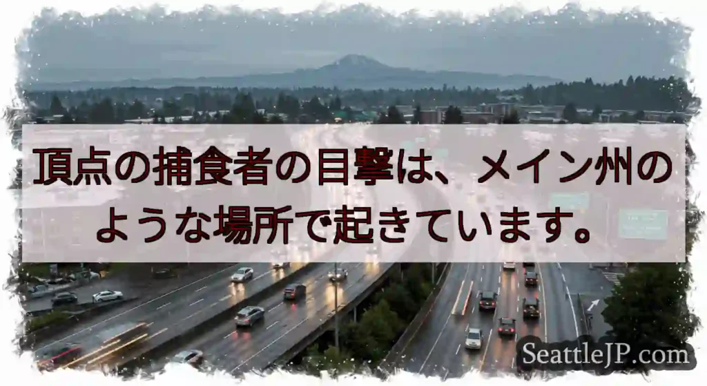 頂点の捕食者の目撃は、メイン州のような場所で起きています。
