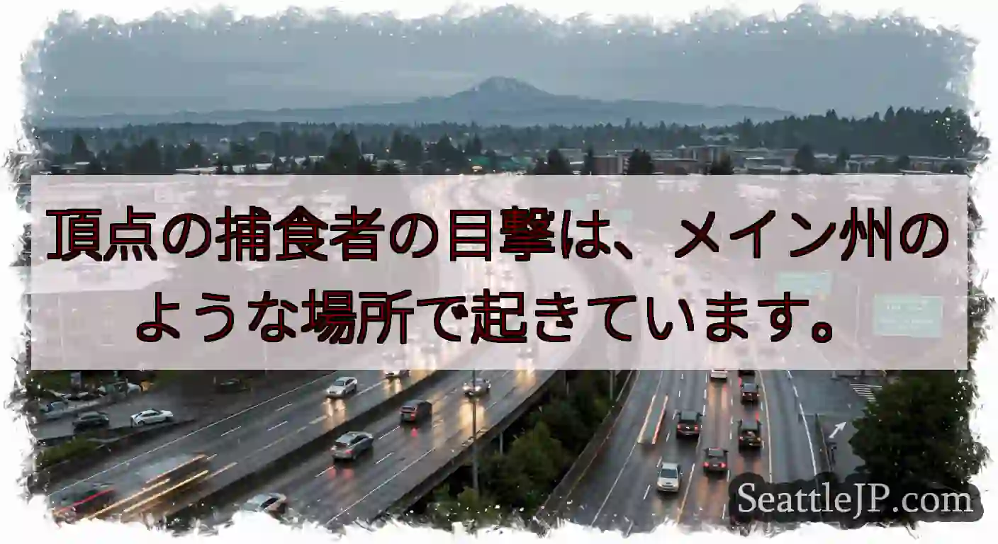 頂点の捕食者の目撃は、メイン州のような場所で起きています。