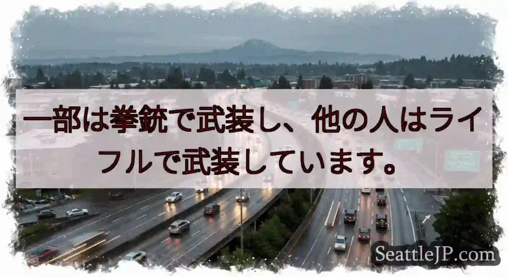 一部は拳銃で武装し、他の人はライフルで武装しています。