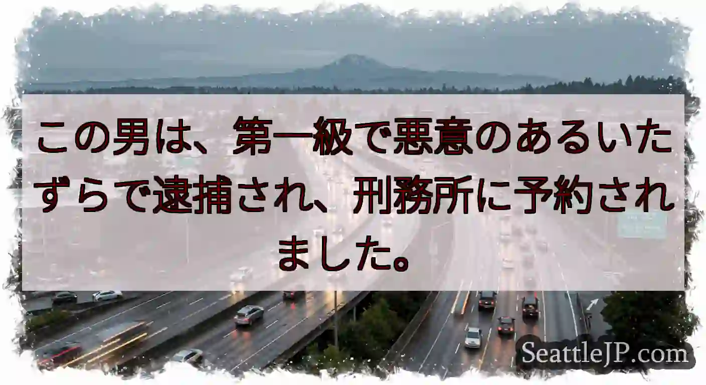 この男は、第一級で悪意のあるいたずらで逮捕され、刑務所に予約されました。