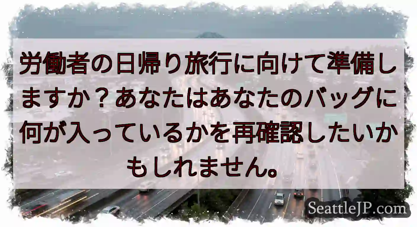 労働者の日帰り旅行に向けて準備しますか？あなたはあなたのバッグに何が入っているかを再確認したいかもし