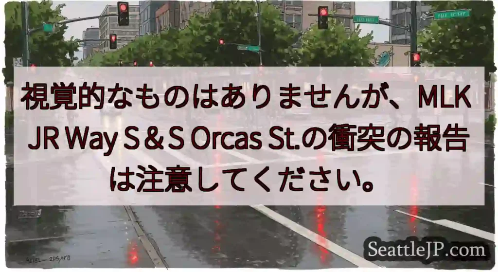 視覚的なものはありませんが、MLK JR Way S＆S Orcas