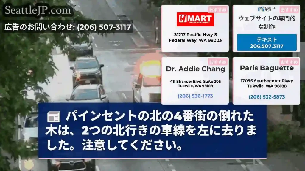 パインセントの北の4番街の倒れた木は、2つの北行きの車線を左に去りました。注意してください。