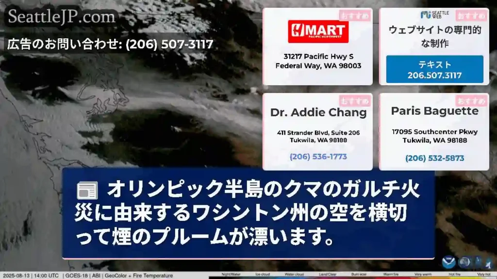 オリンピック半島のクマのガルチ火災に由来するワシントン州の空を横切って煙のプルームが漂います。