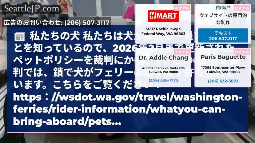 私たちの犬