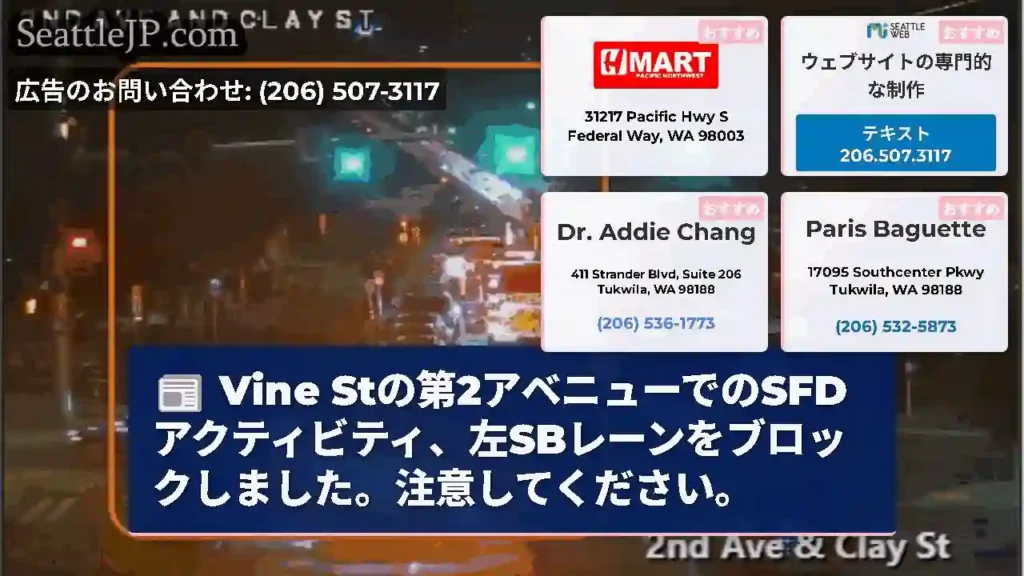 Vine