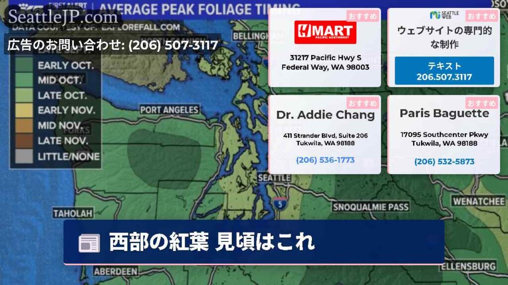 西部の紅葉 見頃はこれ