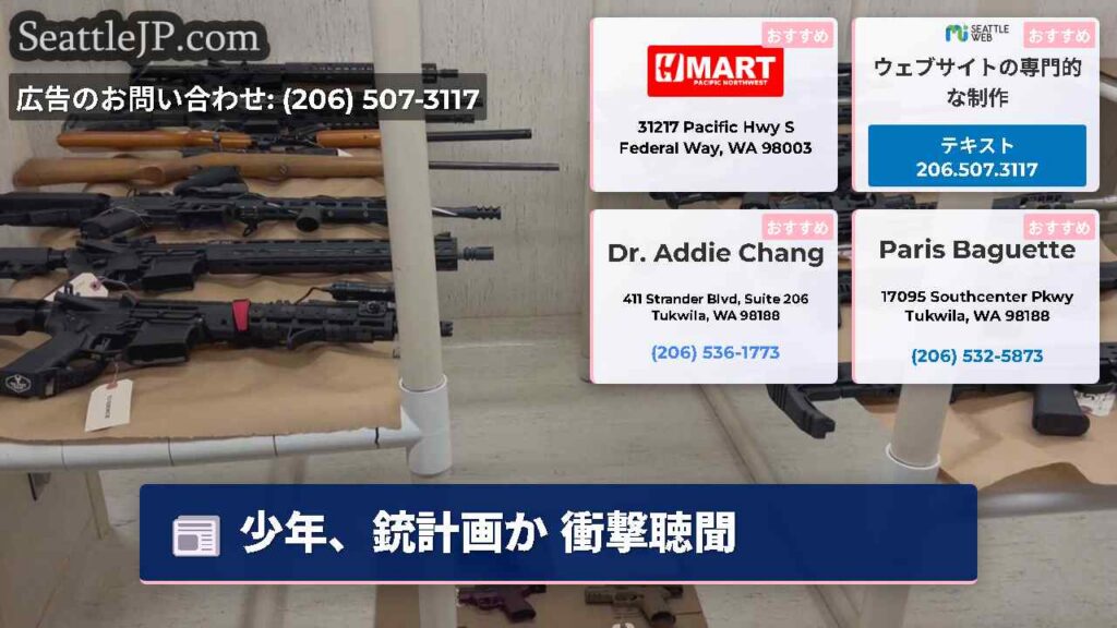 少年、銃計画か 衝撃聴聞